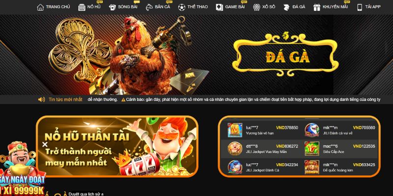 Tìm hiểu về đá gà I9BET